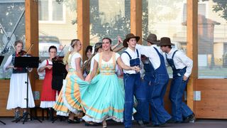 Image 5419026 (auto)