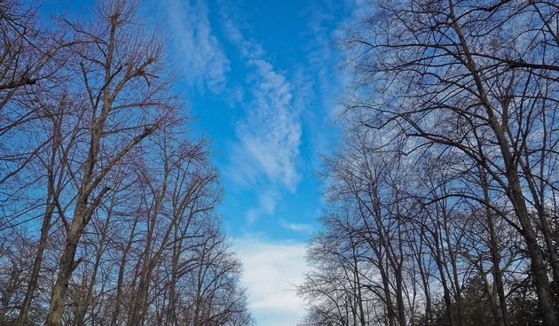 Prognoza – proljeće, sunce Prognoza – proljeće, sunce