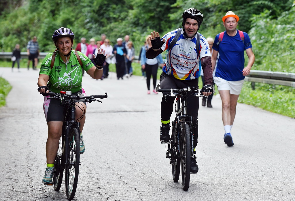 Image 4542342 (auto)