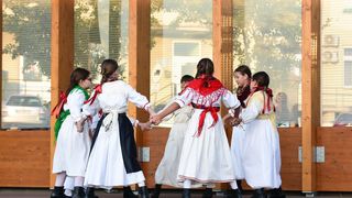 Image 5419008 (auto)