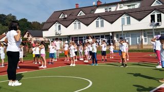 Image 5836311 (auto)