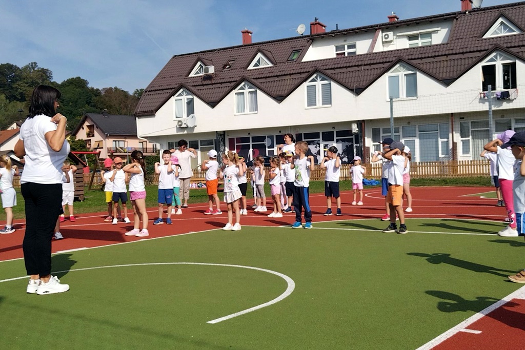 Image 5836311 (auto)