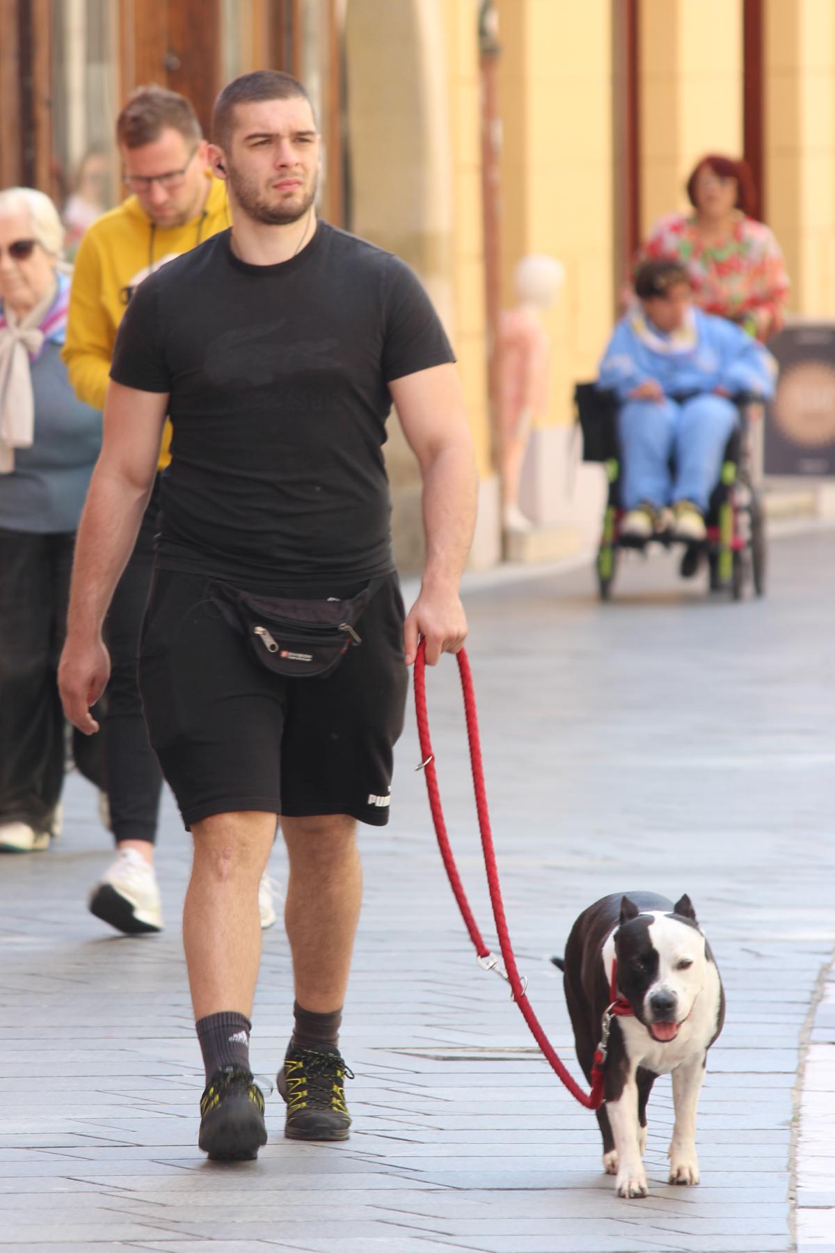 Image 5684099 (auto)