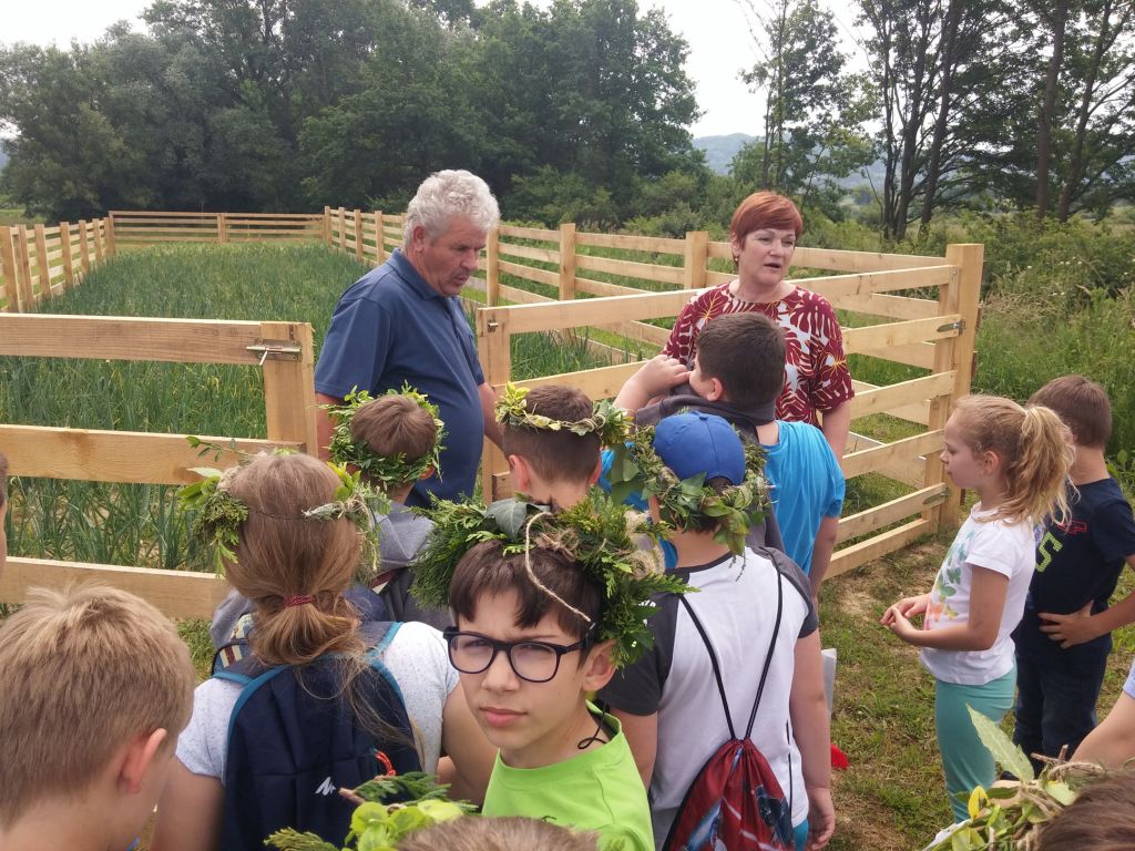 20180522111021179647