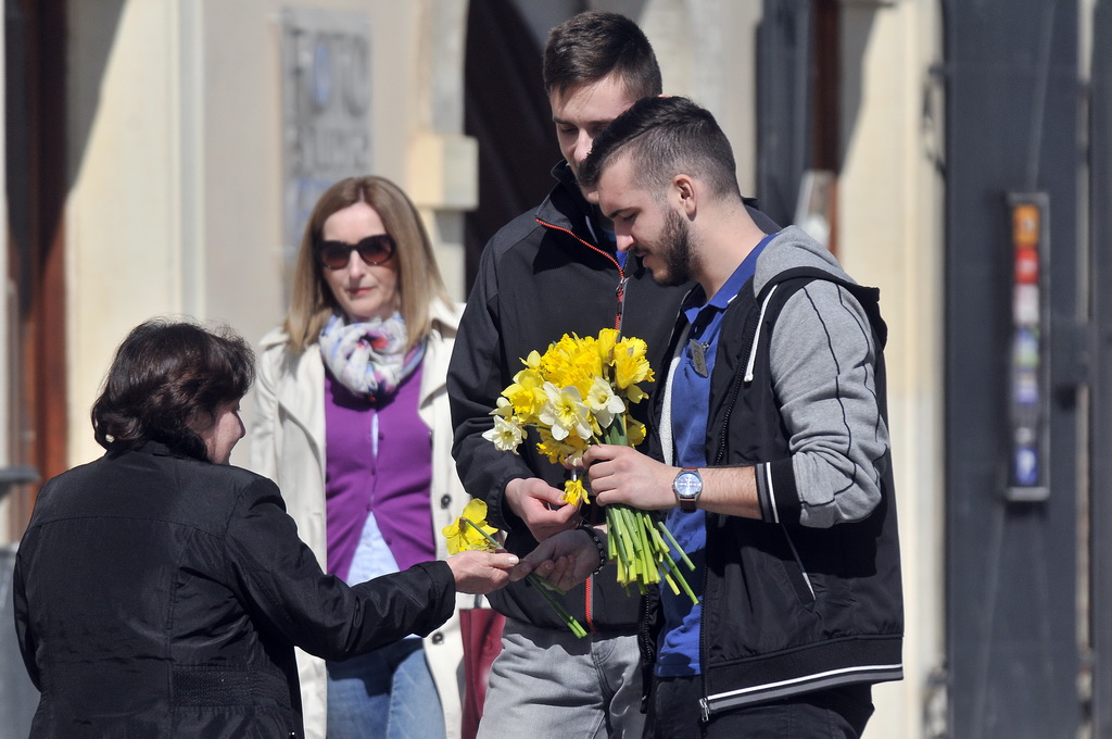 Dan narcisa Dan narcisa