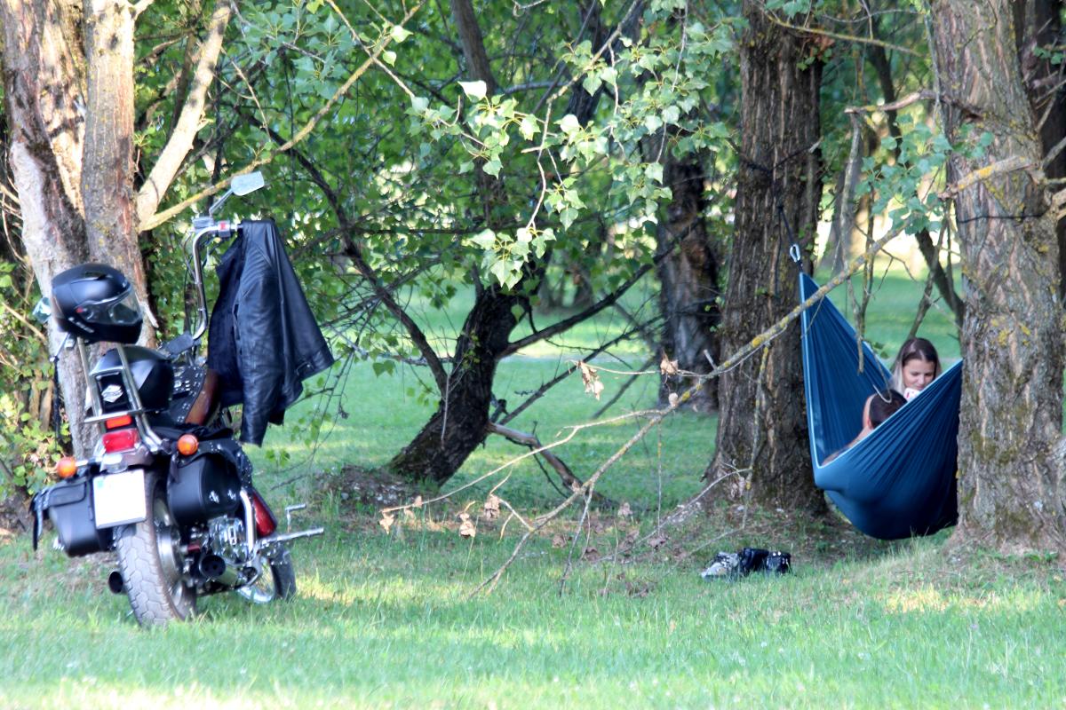 Image 5423006 (auto)