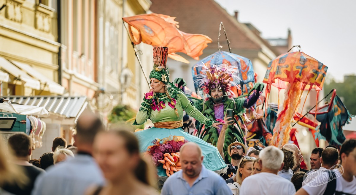 Image 5811899 (auto)