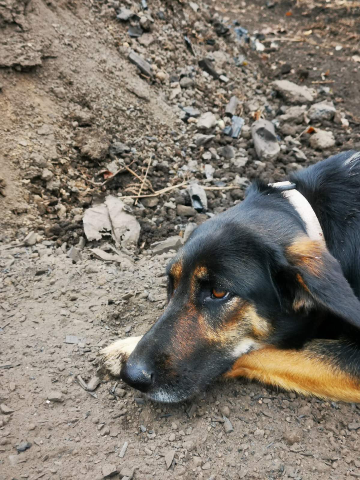 vuglenica u Gačicama