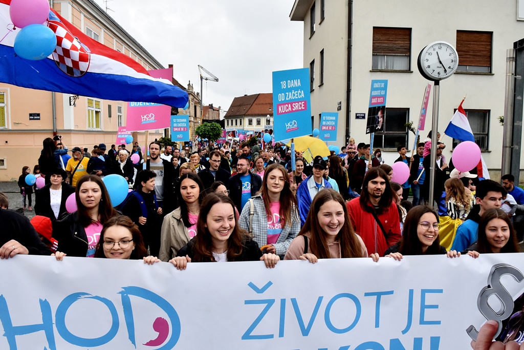 Image 5345652 (auto)