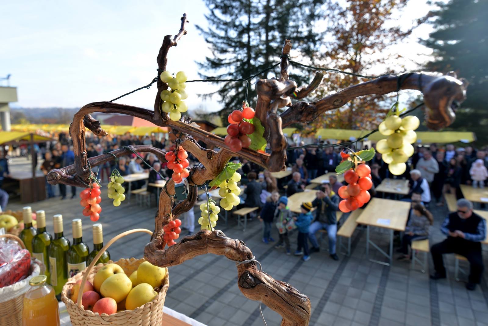 Martinje v Marofu Martinje v Marofu