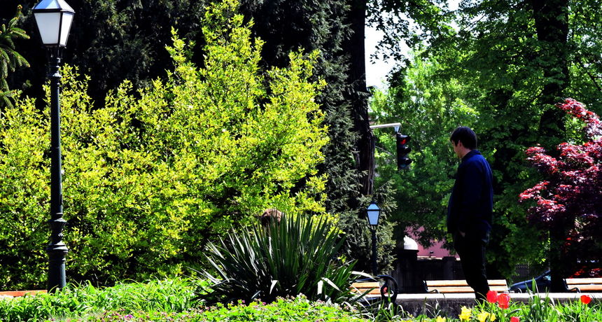 Proljeće 2020. godine, cvijeće, varaždin Proljeće 2020. godine, cvijeće, varaždin