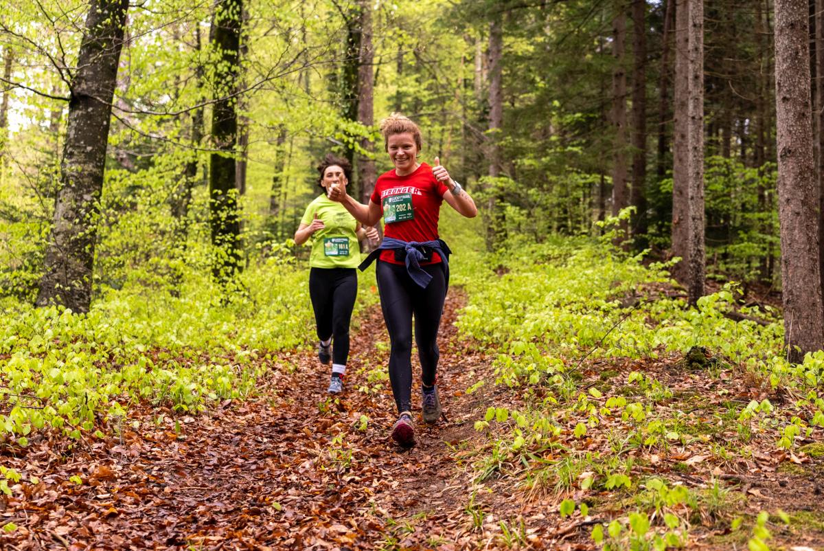 Image 5331062 (auto)