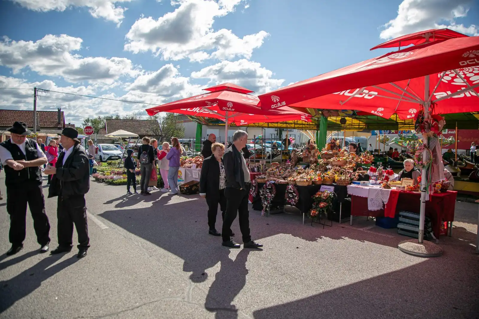 20240929-11_51_38__ZVMK5006