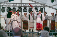 20250712-20_04_34__ZVMK2263