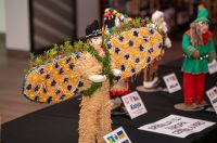 20260130-10_59_21__ZVMK2808 20260130-10_59_21__ZVMK2808