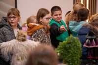 20260130-11_40_41__ZVMK2925 20260130-11_40_41__ZVMK2925