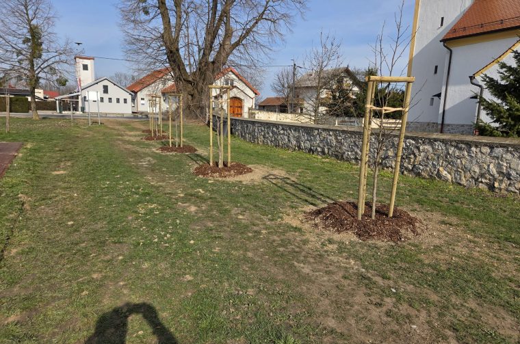 20260313_092121-scaled