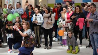 luminirodendan2943308