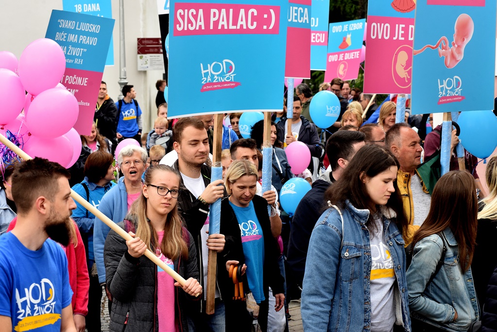 Image 5345642 (auto)