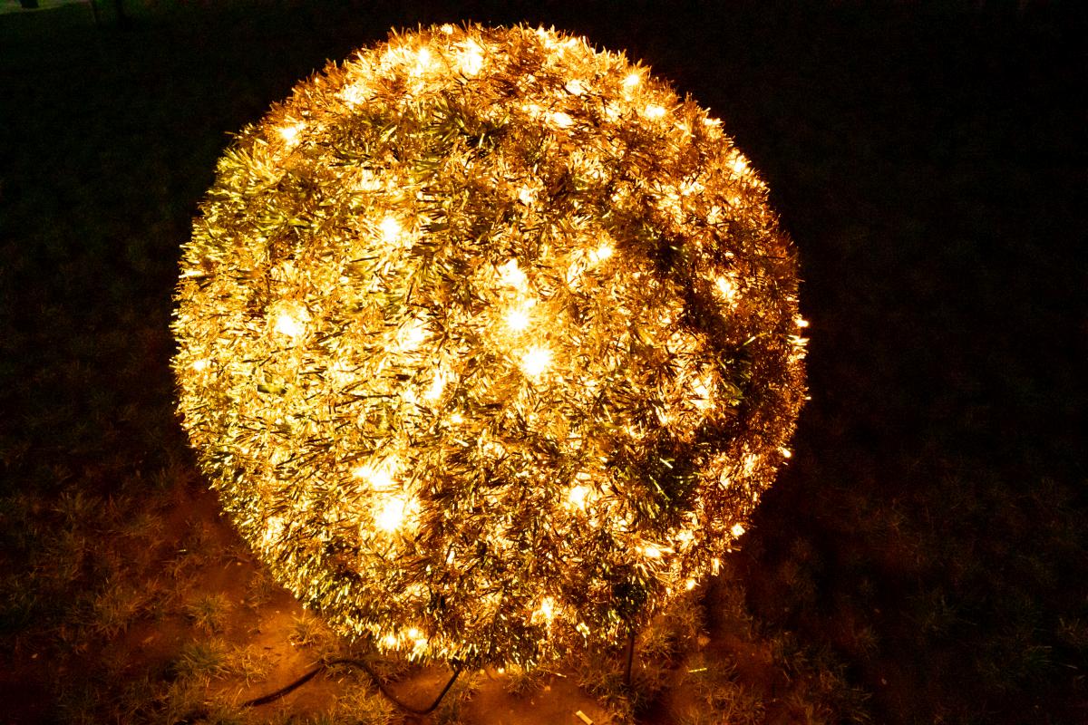 Image 5535262 (auto)