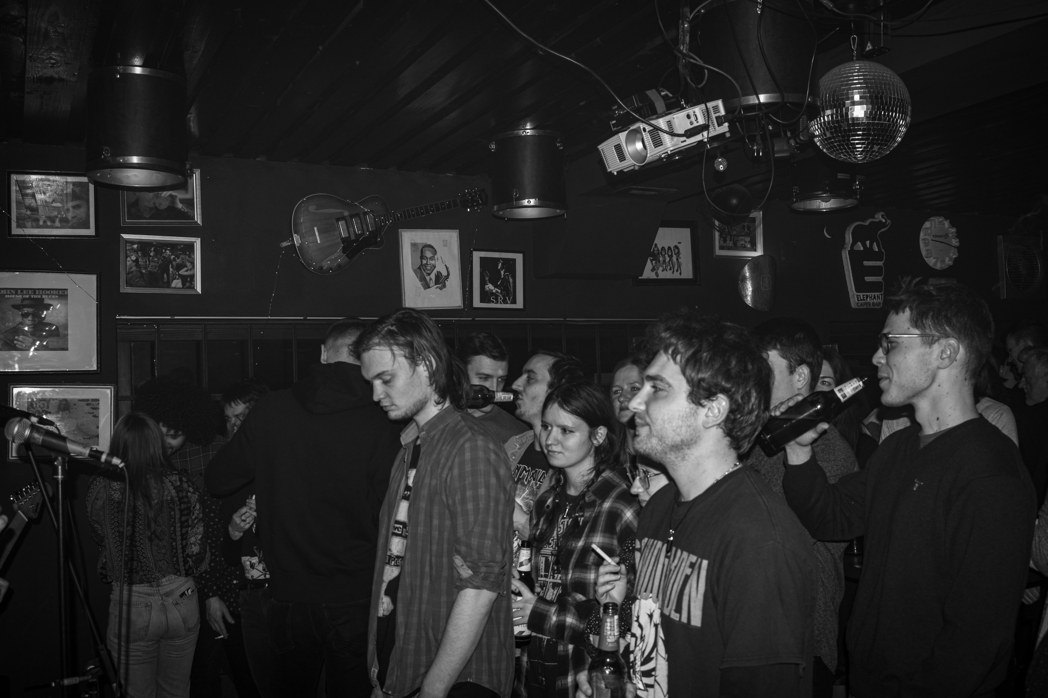 Dodger Artfool The Vipers