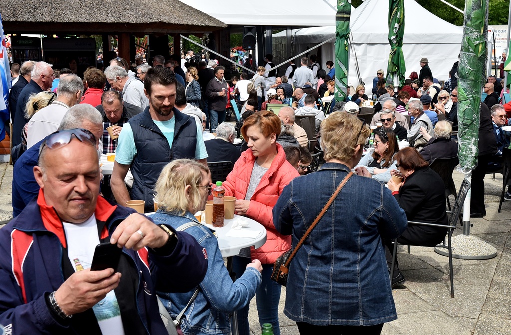 Image 5678249 (auto)