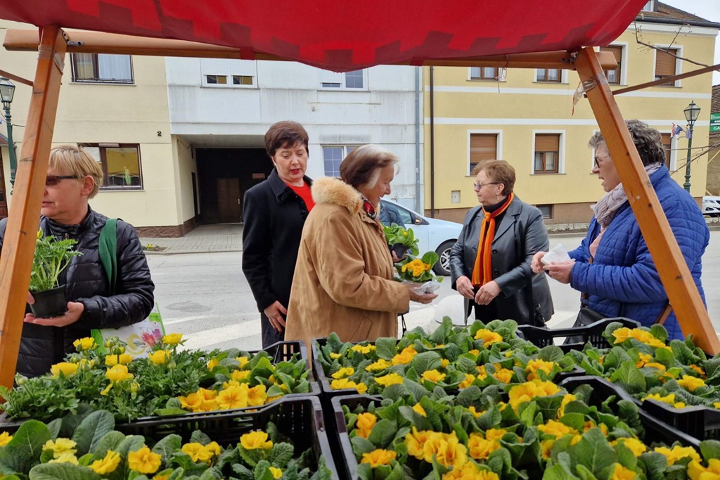 Image 5991043 (auto)