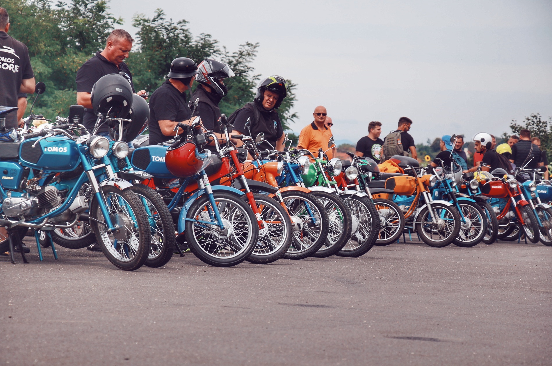 Image 5825477 (auto)