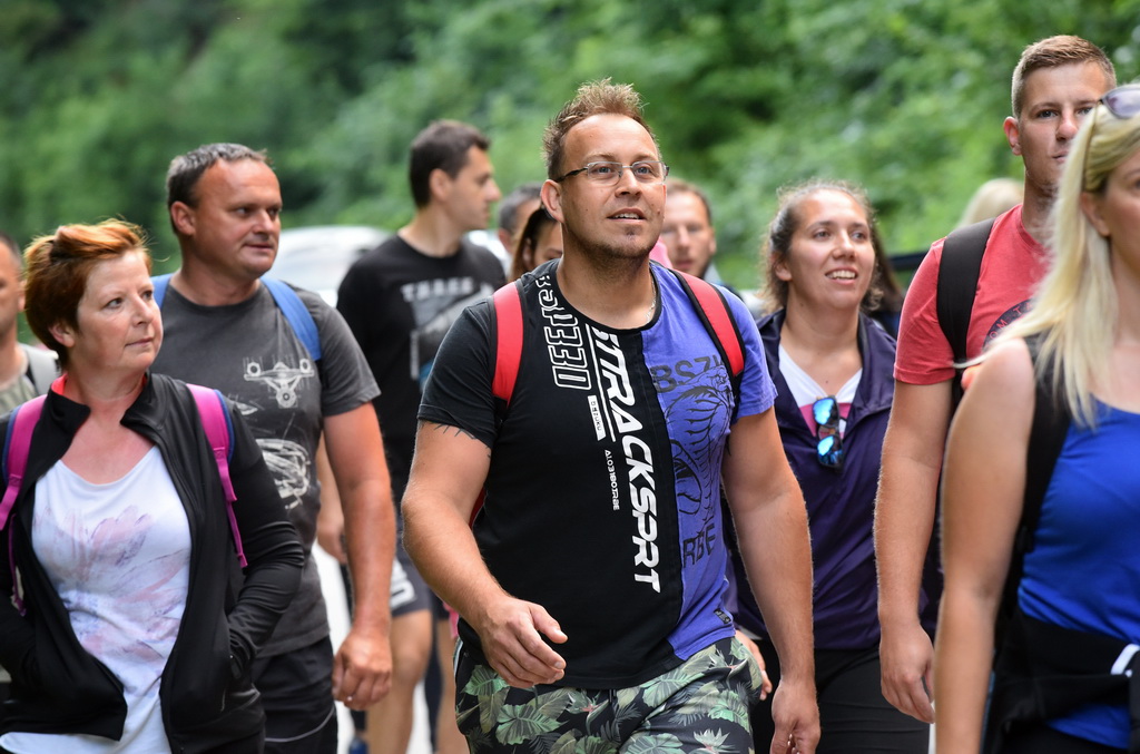 Image 4542388 (auto)