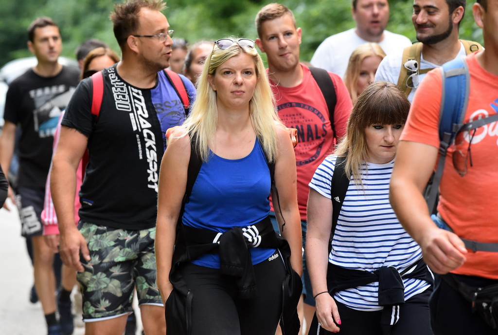 Image 4542386 (auto)