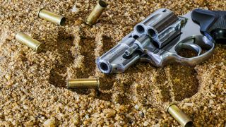 firearm4092521920538019