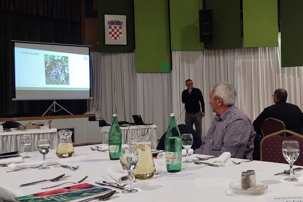 Image 5631941 (auto)