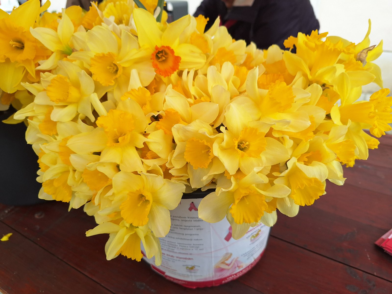 220325_dan narcisa_10 220325_dan narcisa_10