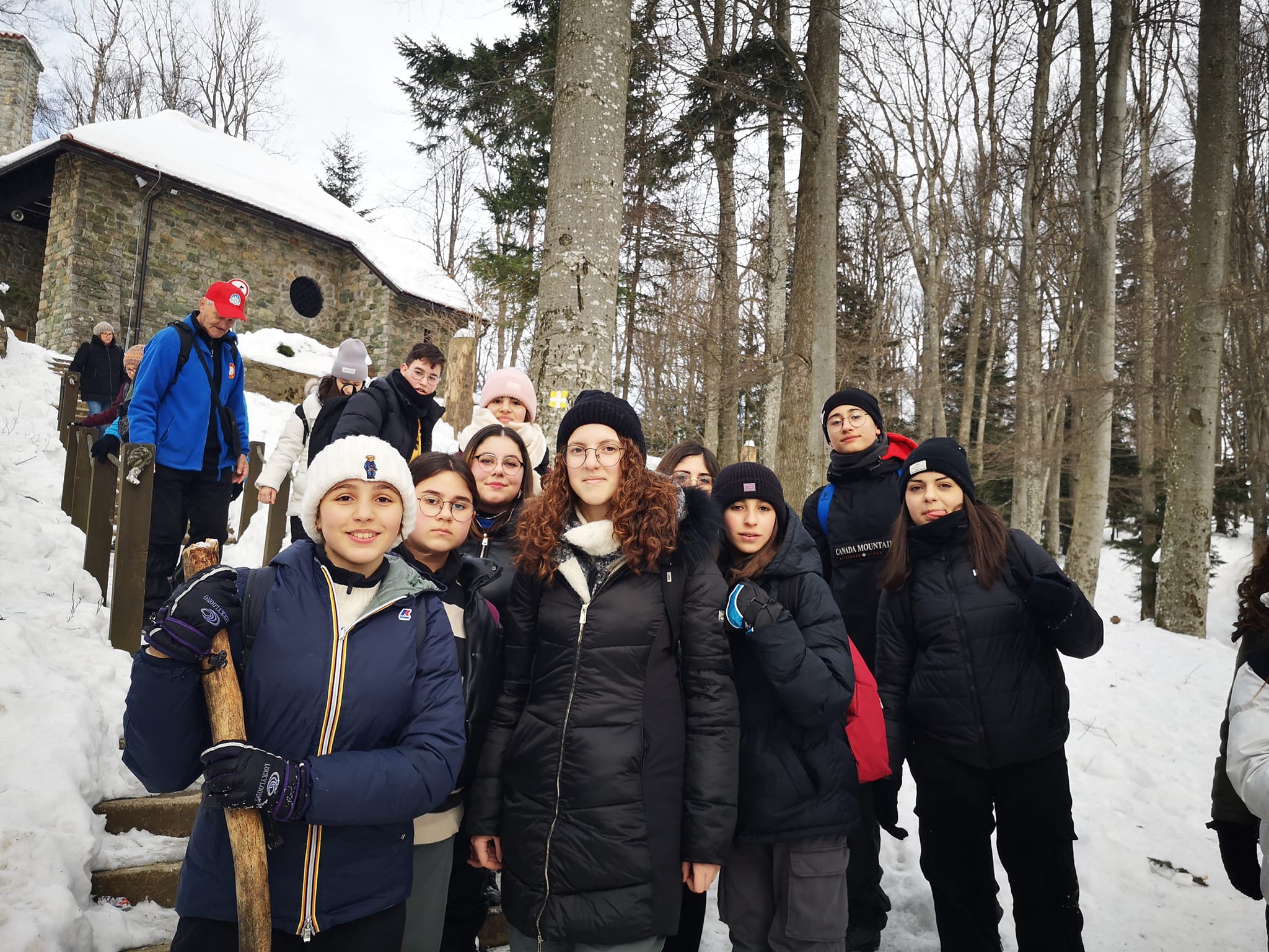 Image 5605393 (auto)