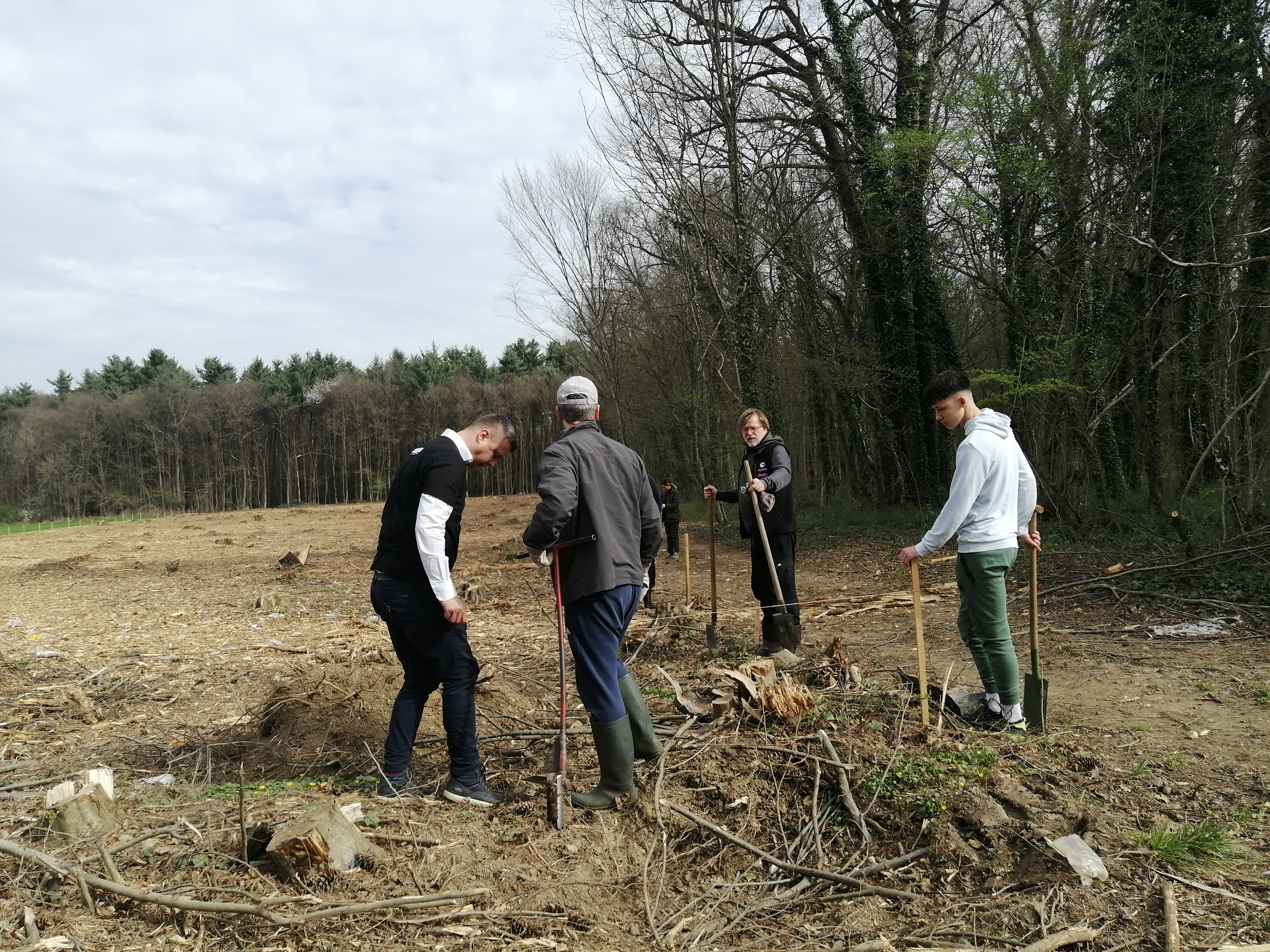 sadnja drveća u Zelendvoru