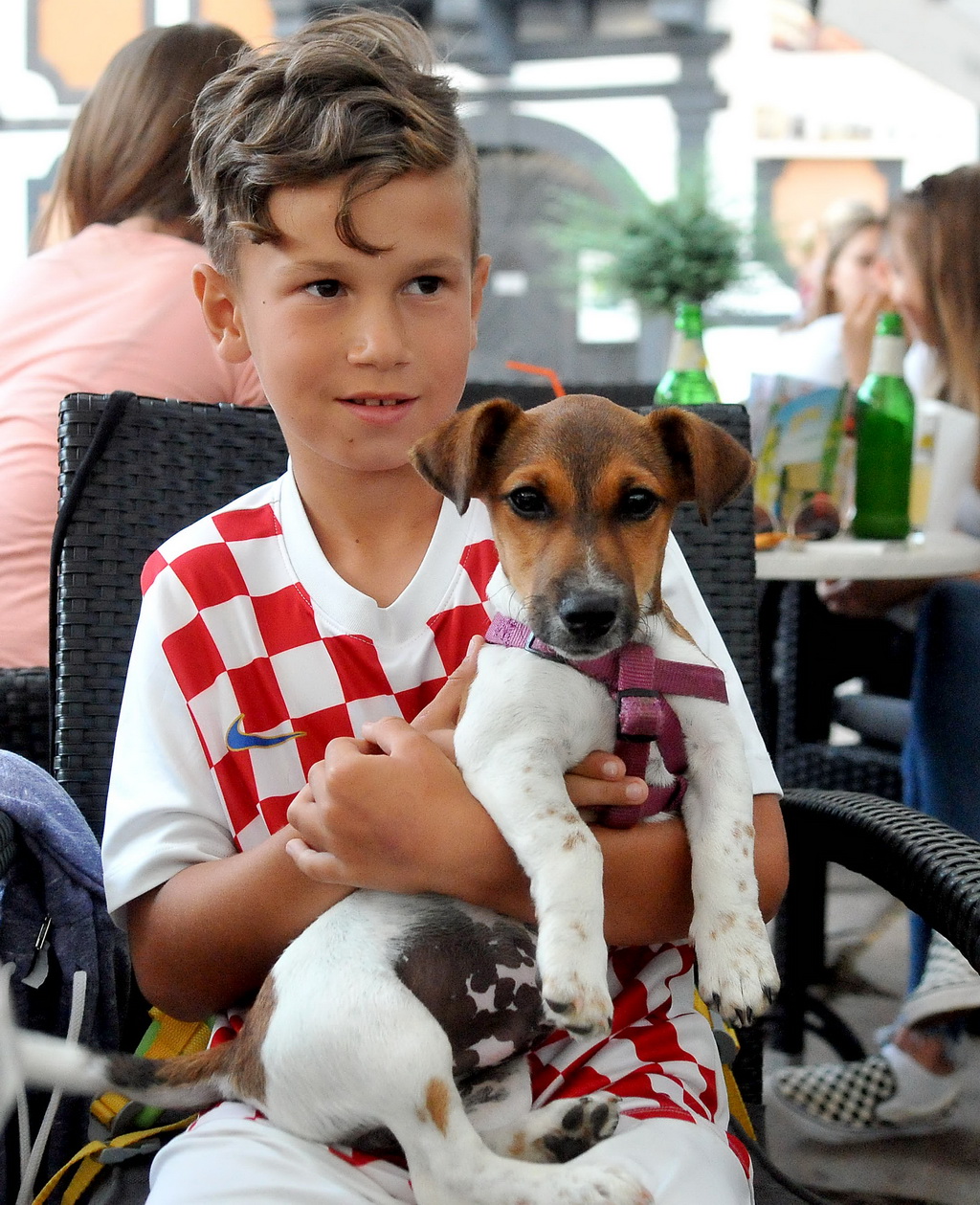 Navijanje za Vatrene Navijanje za Vatrene