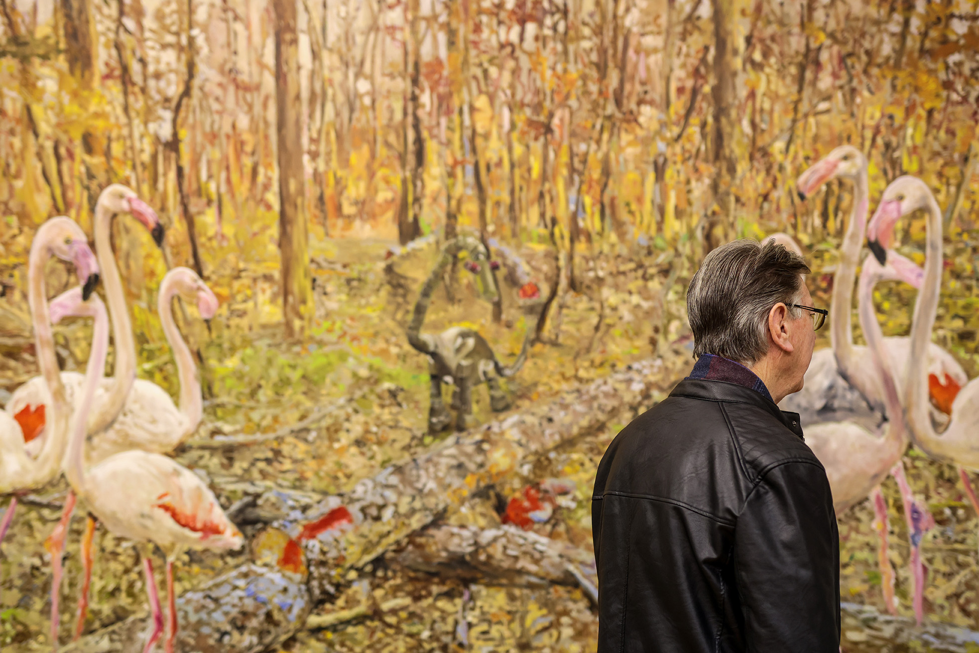 Image 5984245 (auto)