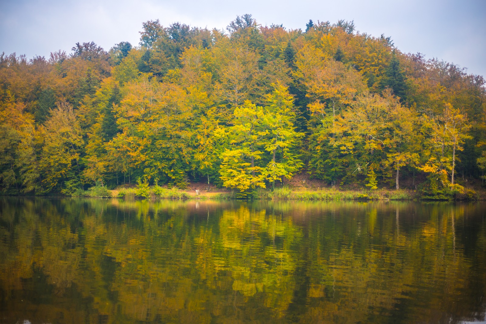 Jesen u Trakošćanu