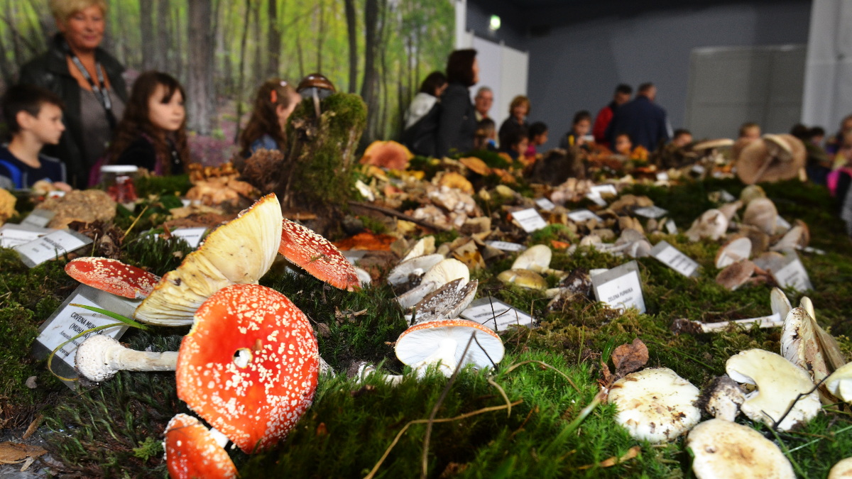 23. Sajam priroda, lov, ribolov, turizam