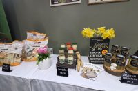 250326_Zlatna Nimfa_3 250326_Zlatna Nimfa_3