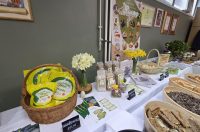 250326_Zlatna Nimfa_4 250326_Zlatna Nimfa_4