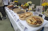 250326_Zlatna Nimfa_9_1 250326_Zlatna Nimfa_9_1