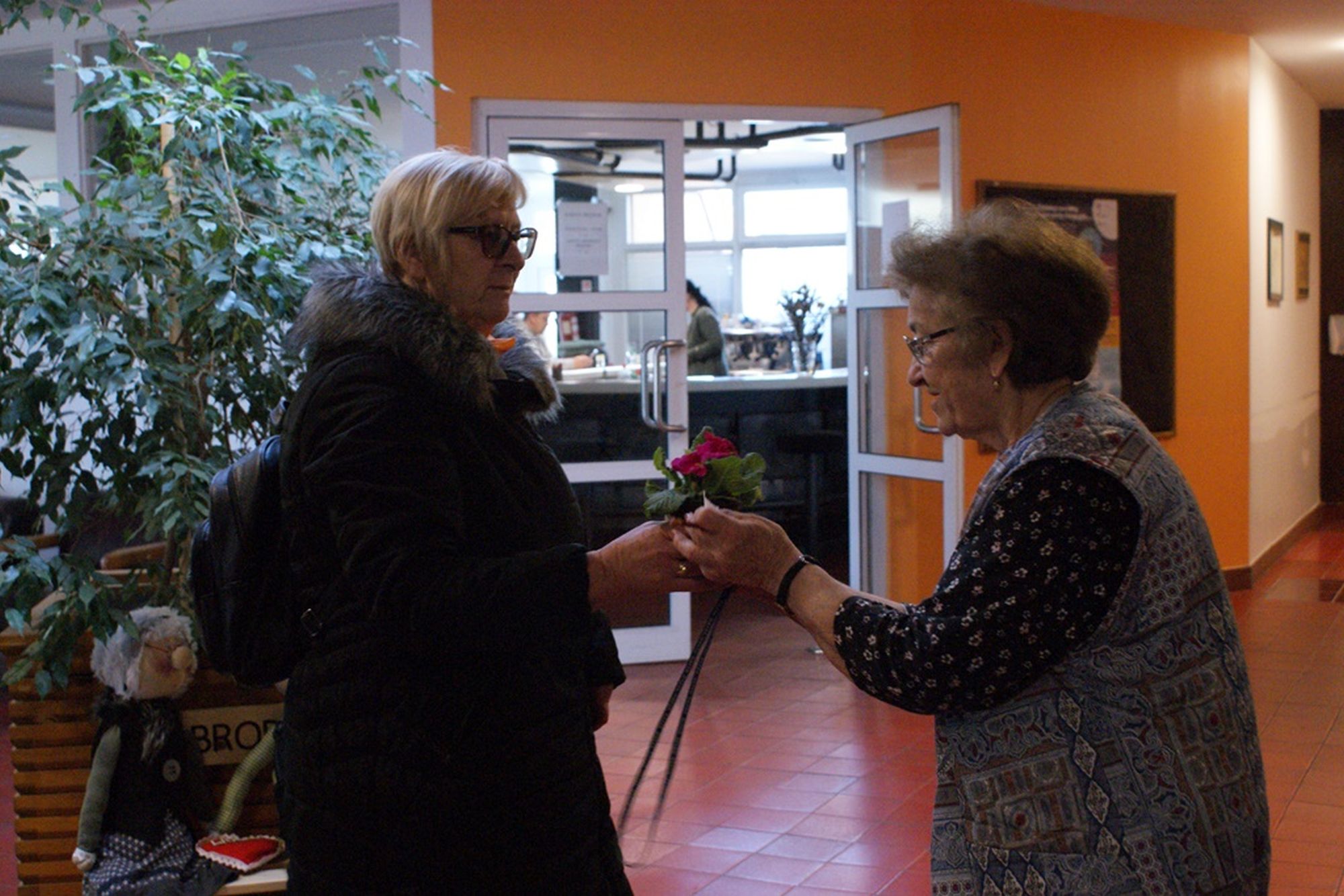 Image 5621915 (auto)