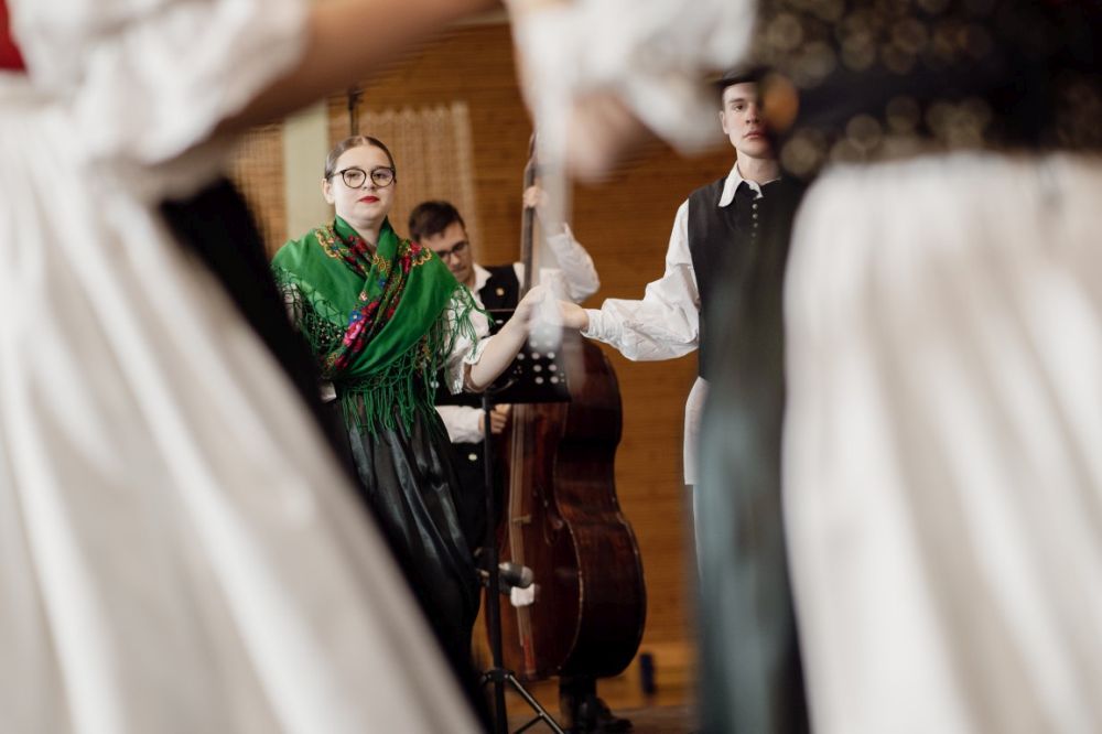 Image 5911769 (auto)