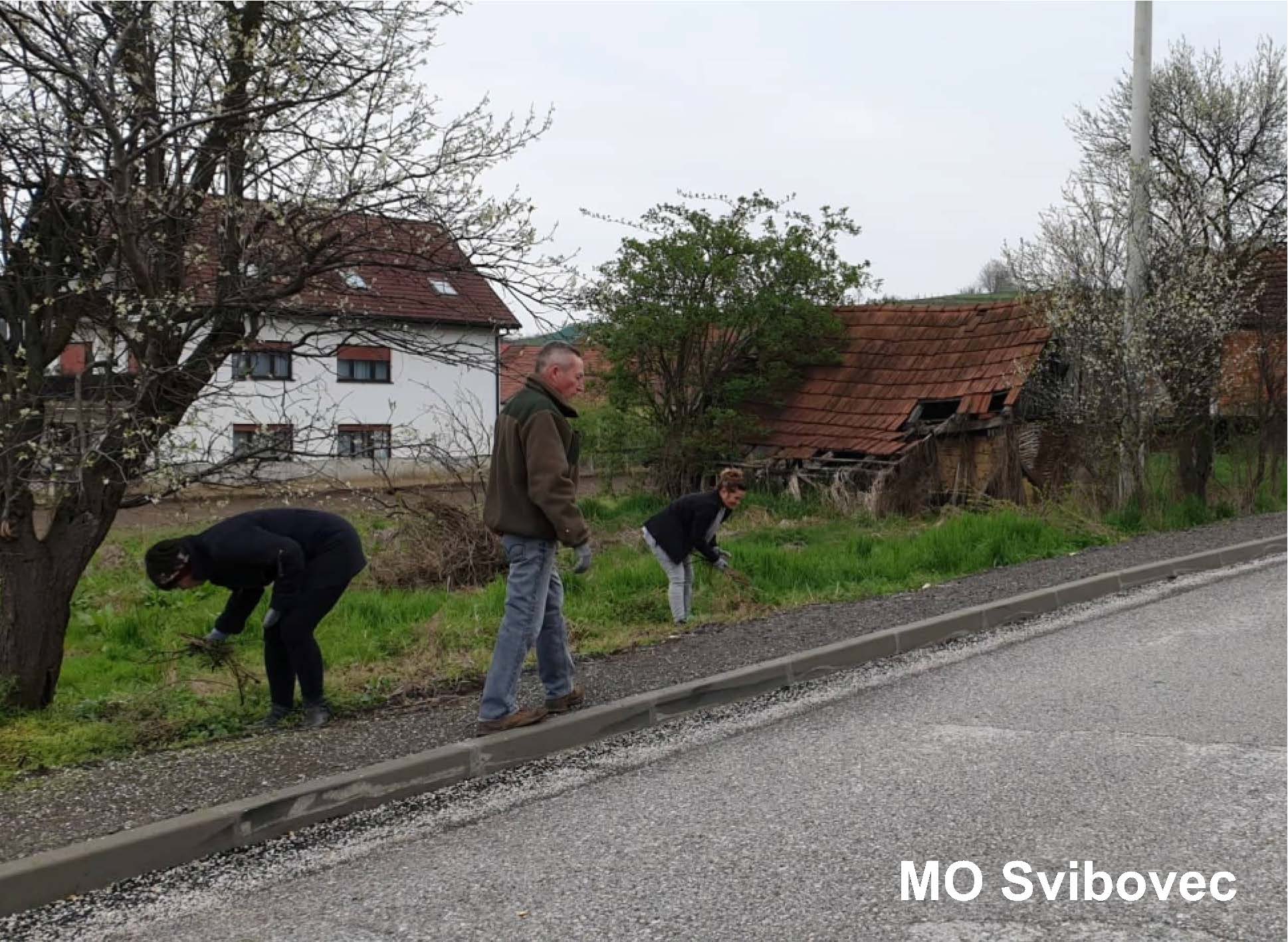 Image 3553241 (auto)