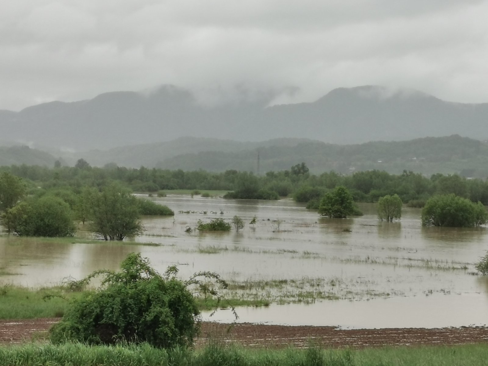 Image 5696735 (auto)