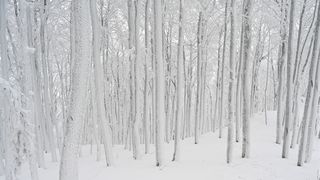 Ivanščica snijeg zima prognoza planina šuma