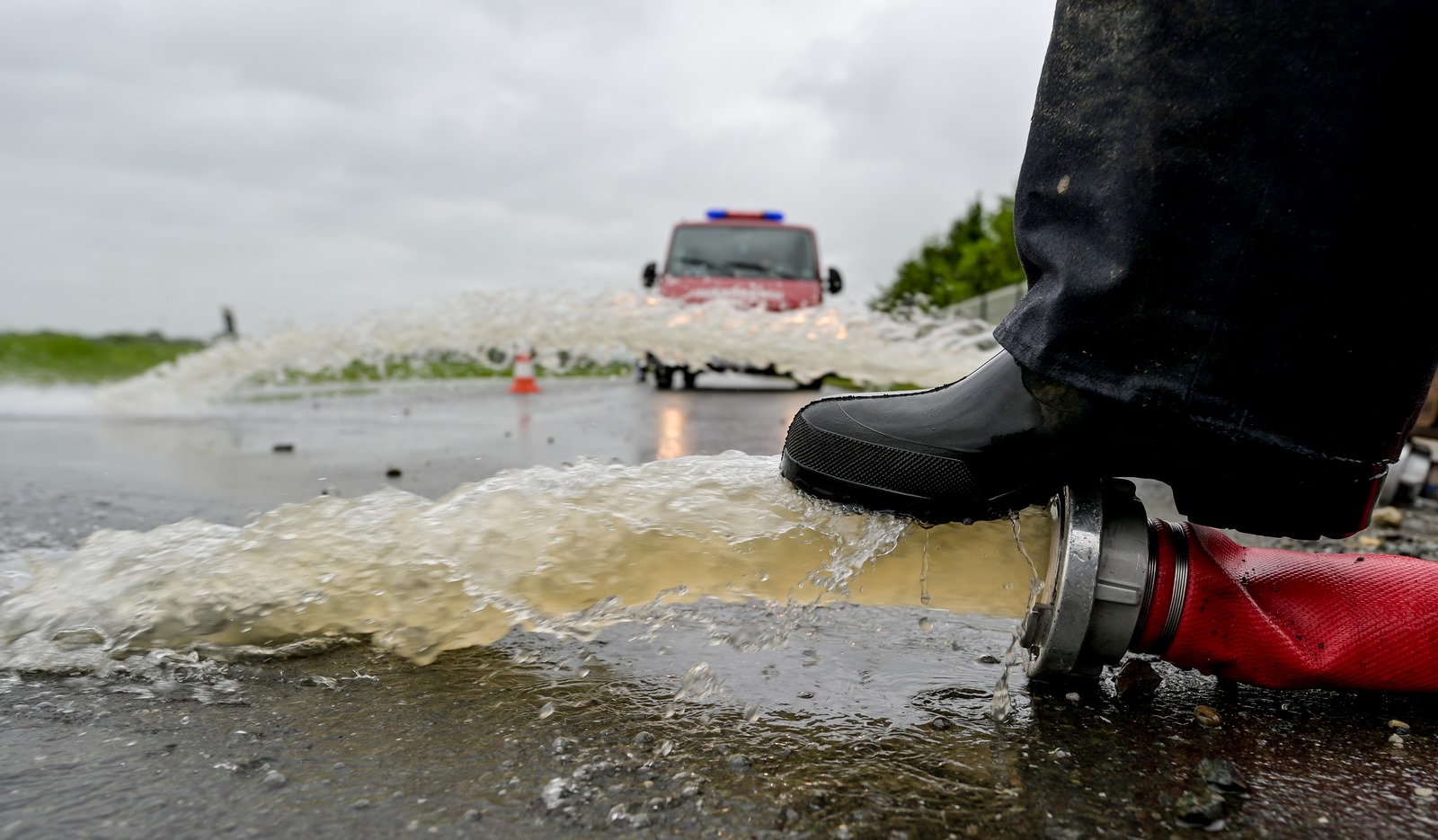 Image 5696727 (auto)