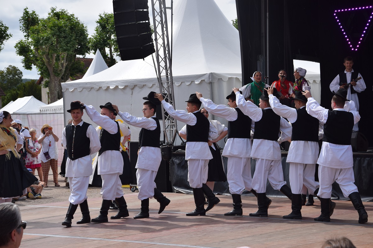 Image 5793033 (auto)