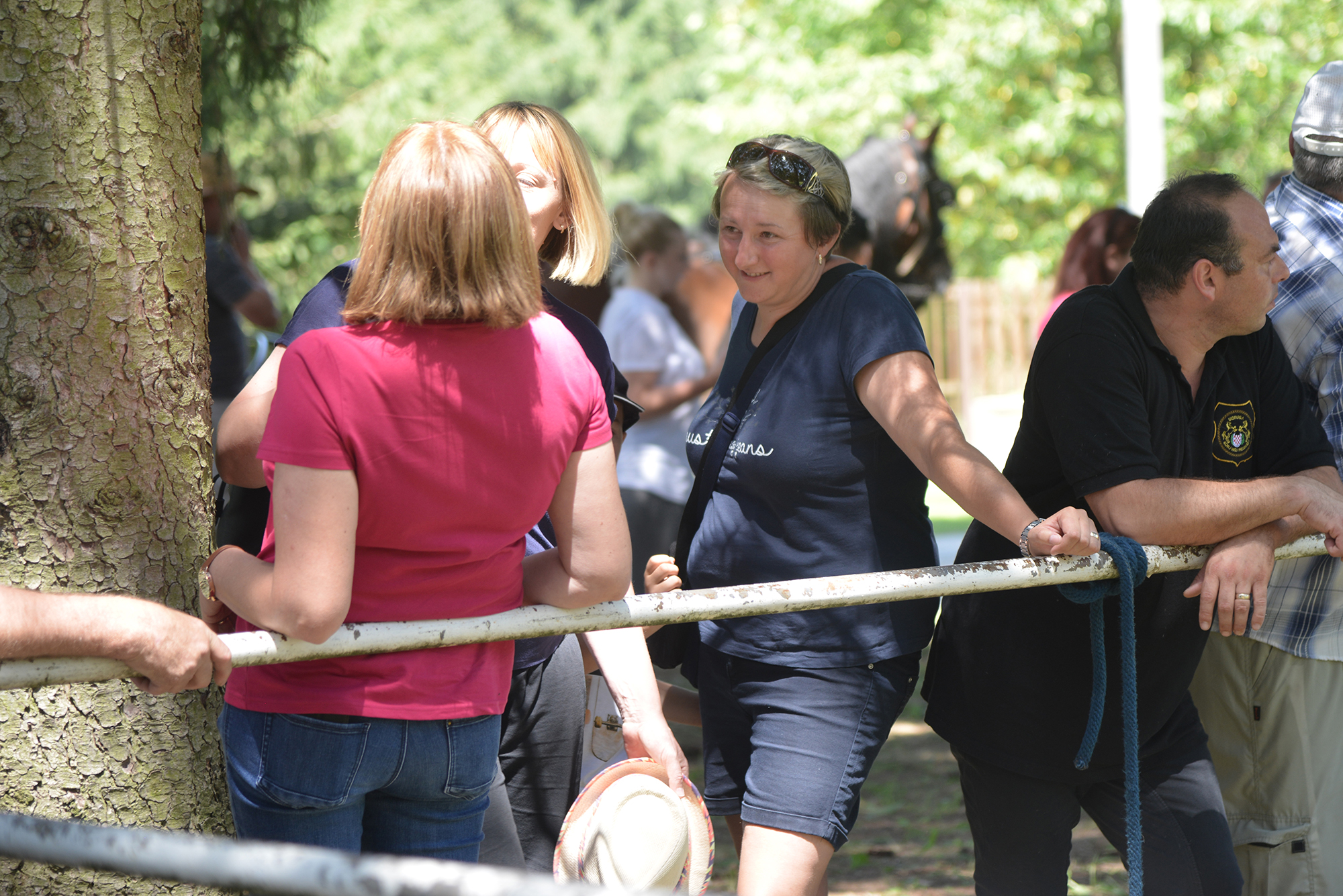 Konjičke i igre u Zelendvoru Konjičke i igre u Zelendvoru